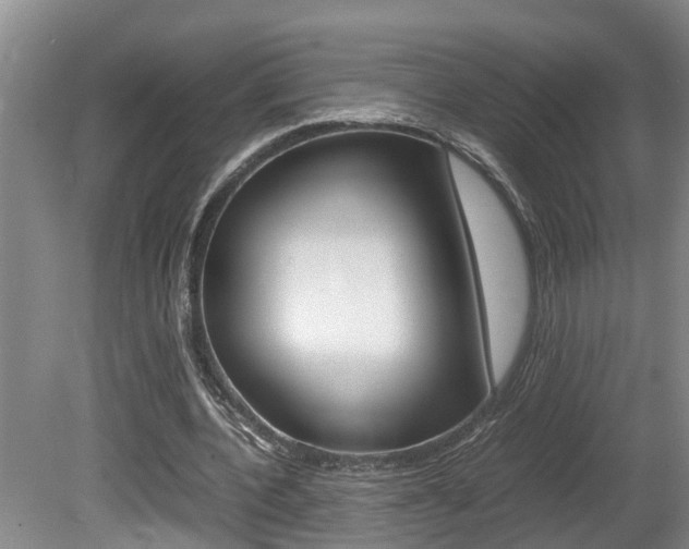 X0000080750532200612151000