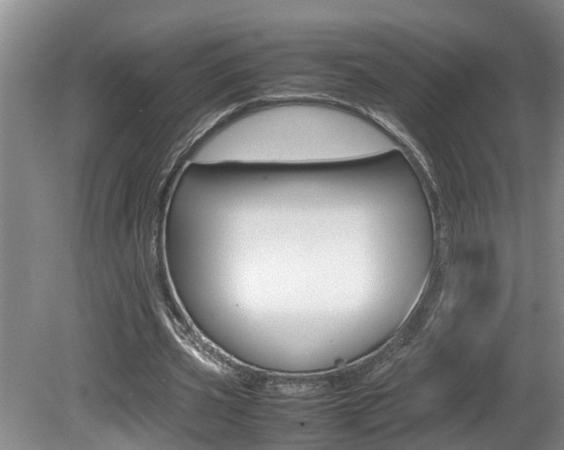 X0000080750533200612151000