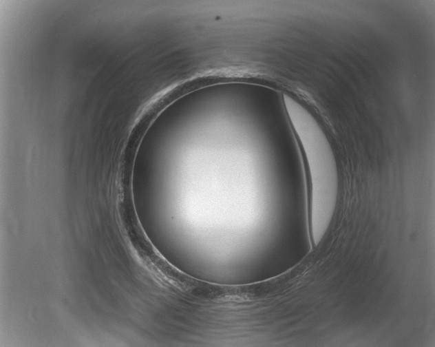 X0000080750536200612151000