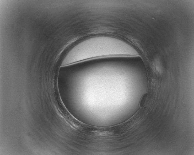 X0000080750539200612151000
