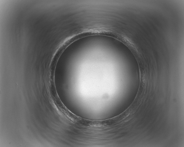 X0000080750540200612151000