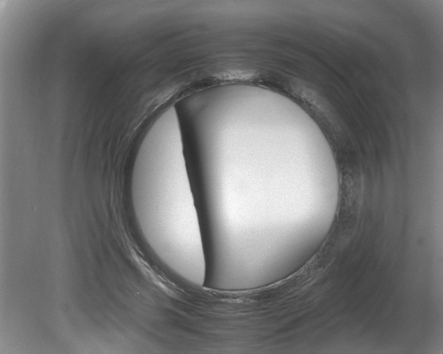 X0000080750541200612151000