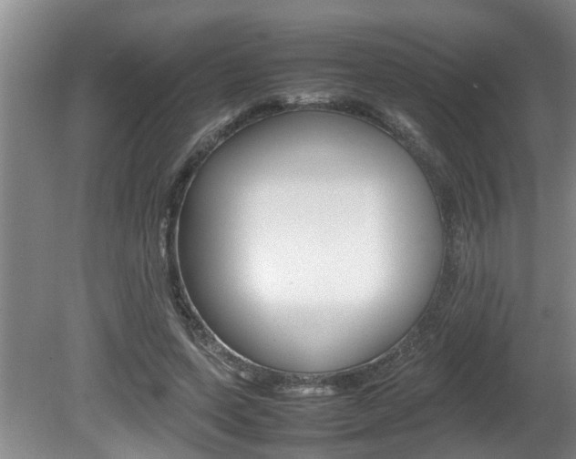 X0000080750543200612151000