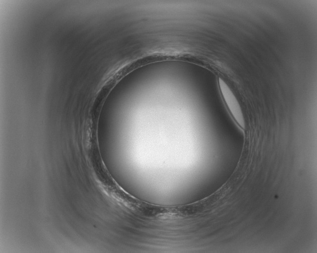 X0000080750544200612151000