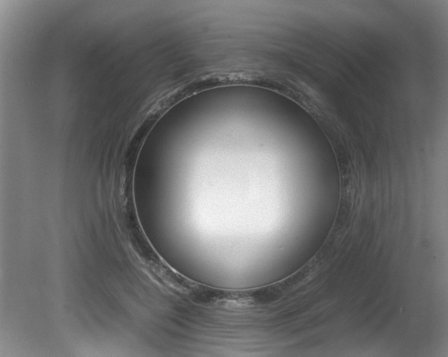 X0000080750548200612151000