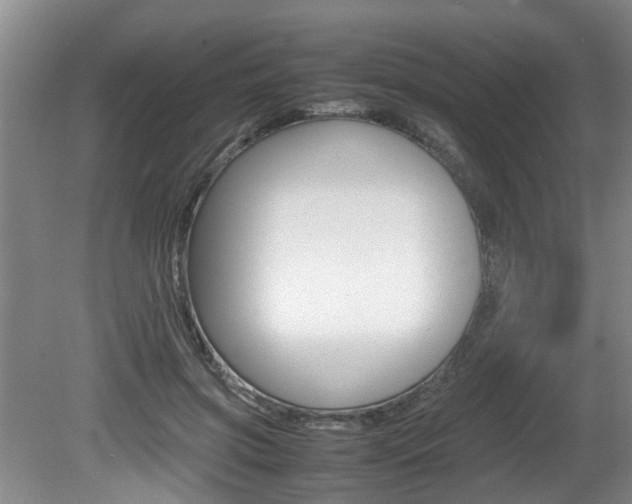 X0000080750549200612151000