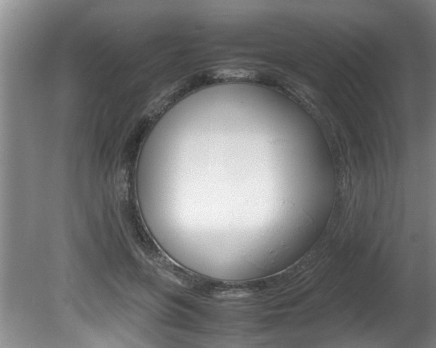 X0000080750551200612151000