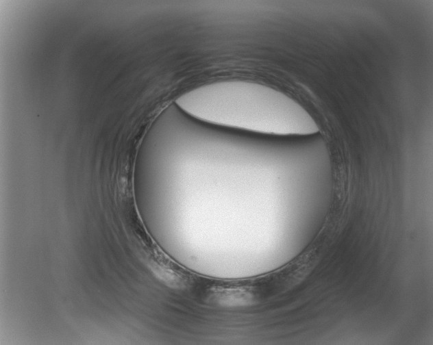X0000080750553200612151000