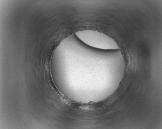 X0000080750561200612151001