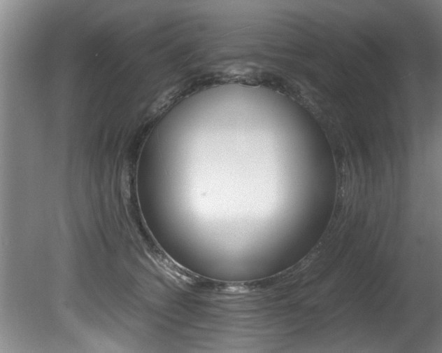 X0000080750562200612151001