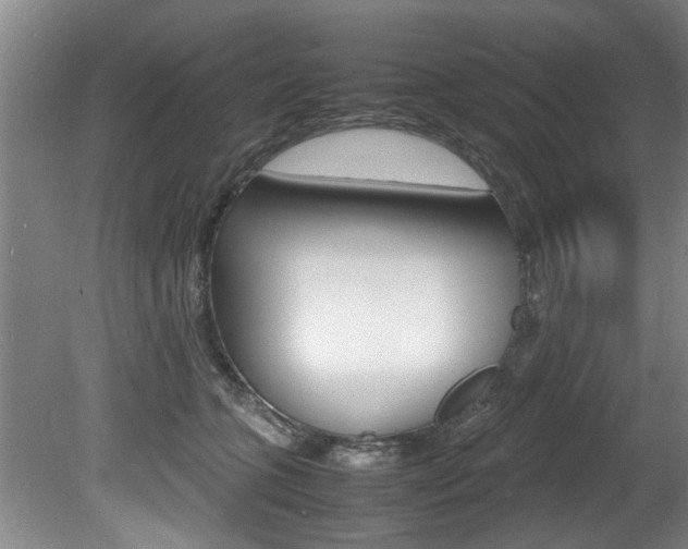 X0000080750563200612151001