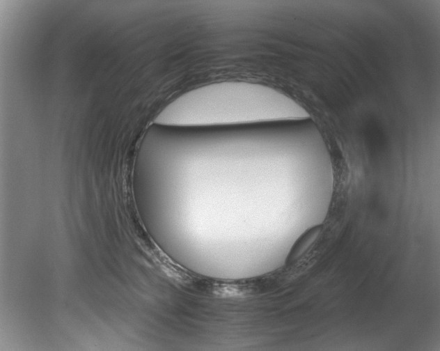 X0000080750565200612151001
