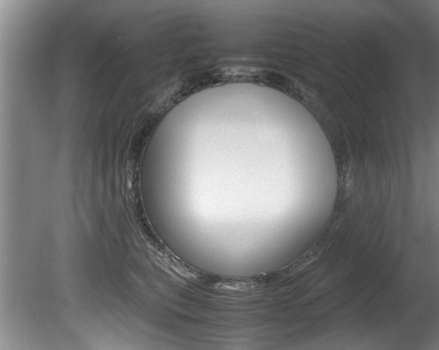 X0000080750567200612151001