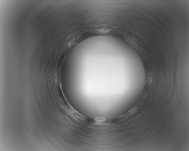 X0000080750568200612151001