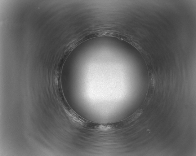 X0000080750570200612151001
