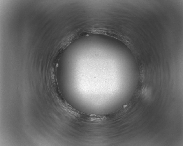 X0000080750571200612151001