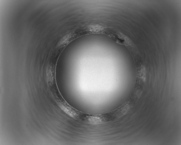 X0000080750572200612151001