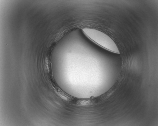 X0000080750575200612151001