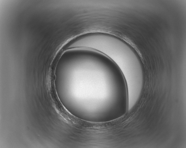 X0000080750580200612151000