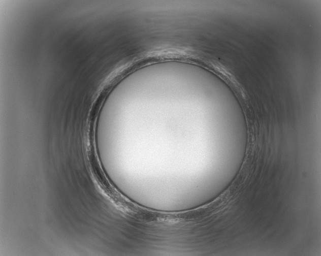 X0000080750582200612151000
