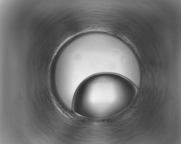X0000080750584200612151000