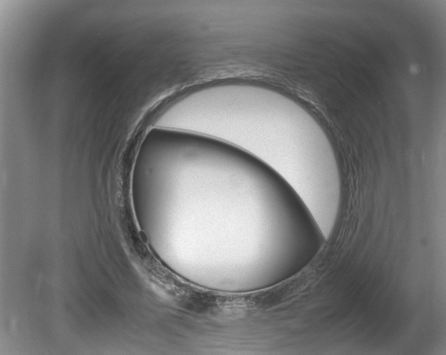 X0000080750587200612151000