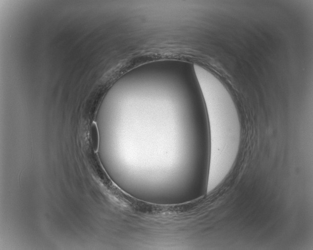 X0000080750593200612151000