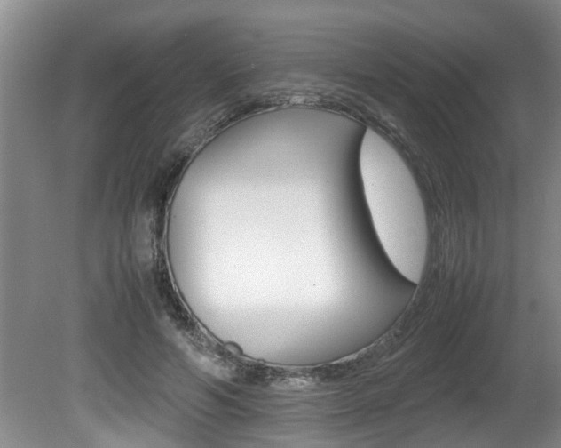 X0000080750594200612151000
