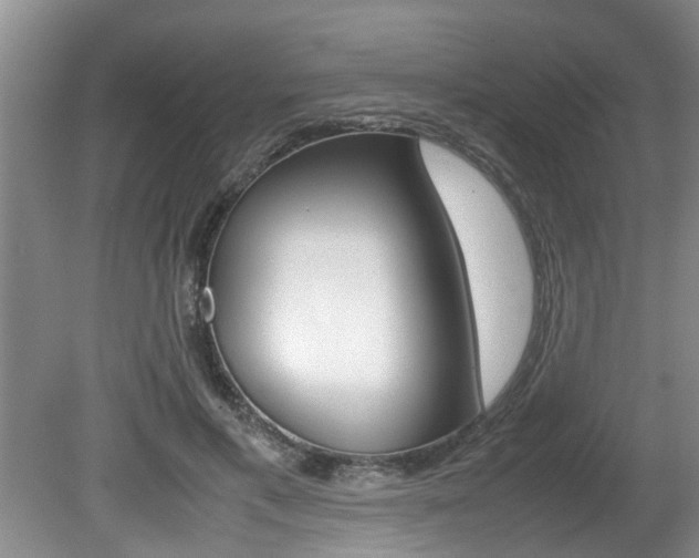 X0000080750597200612151000