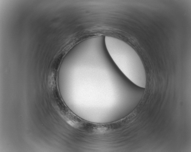 X0000080750598200612151000