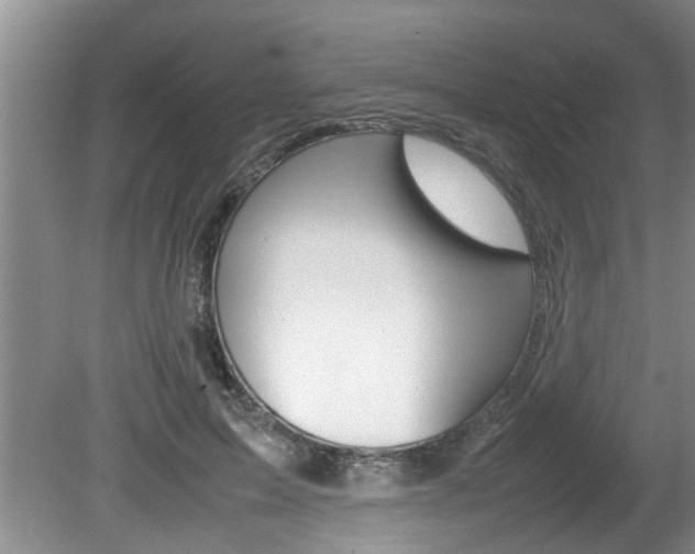 X0000080750599200612151000