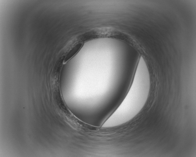 X0000080750601200612151000