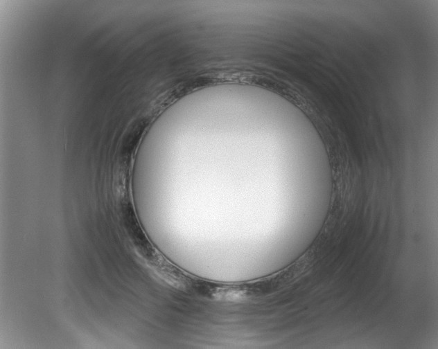 X0000080750602200612151000