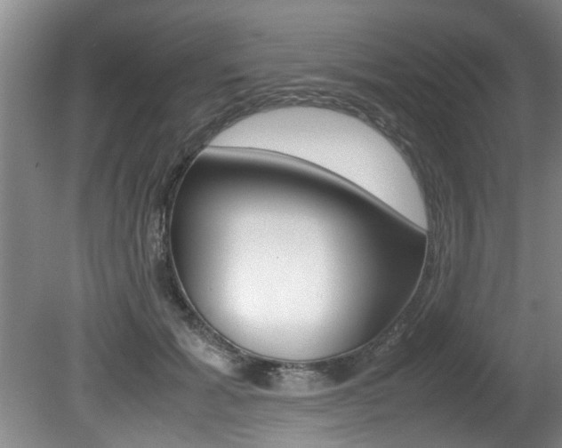 X0000080750605200612151000
