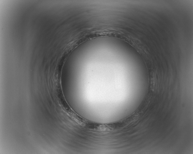X0000080750608200612150959