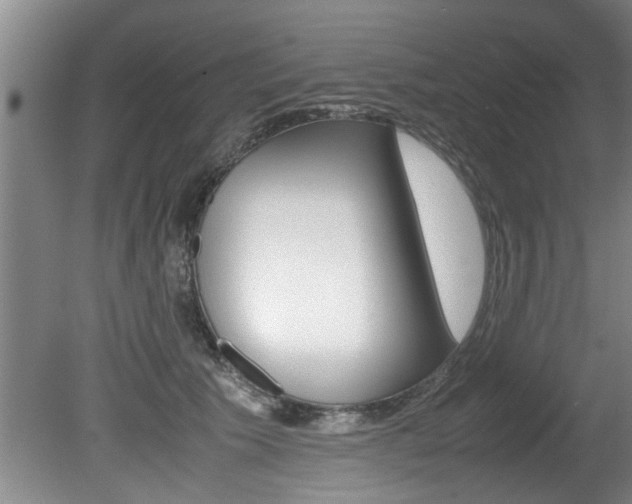 X0000080750609200612150959