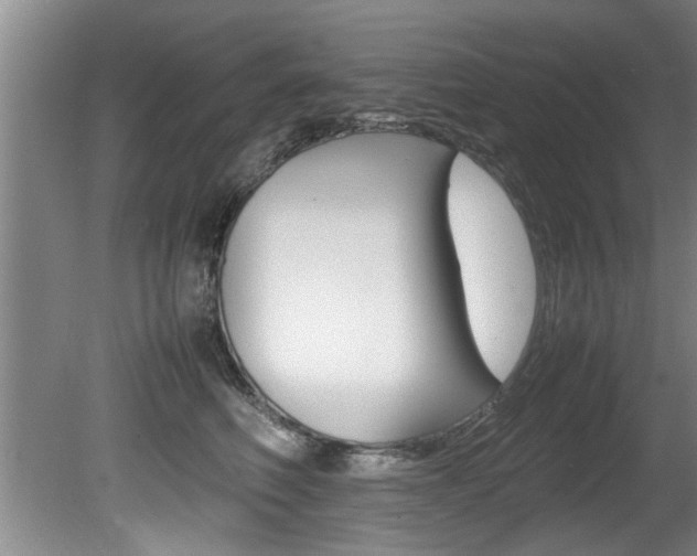 X0000080750614200612150959