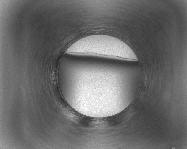 X0000080750619200612150959