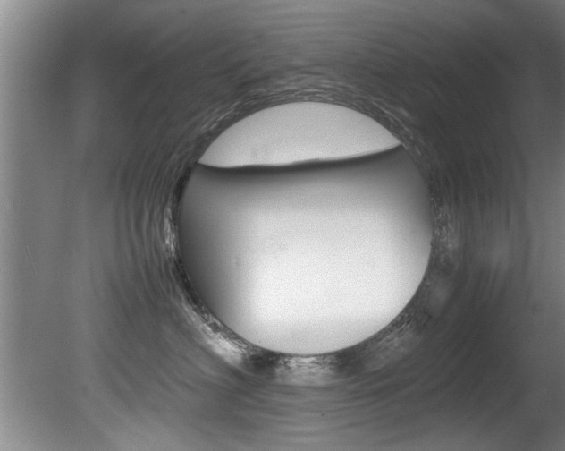 X0000080750622200612150959