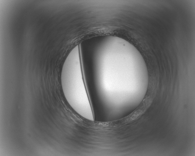 X0000080750624200612150959