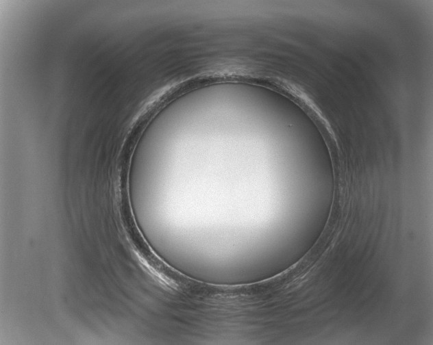 X0000080750629200612150958