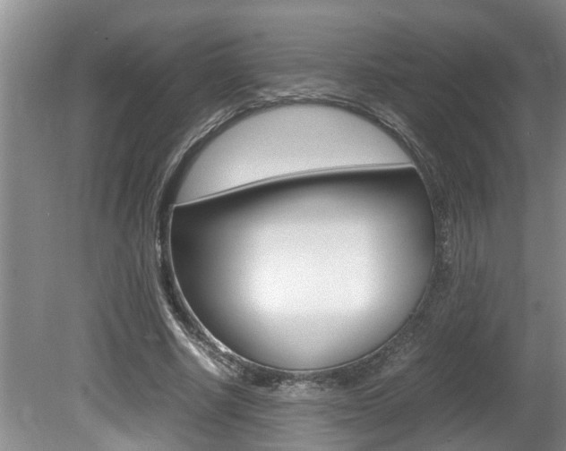 X0000080750634200612150959