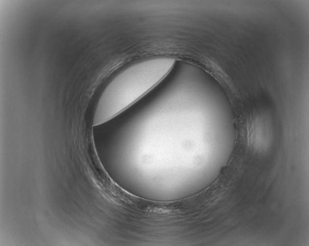X0000080750635200612150959