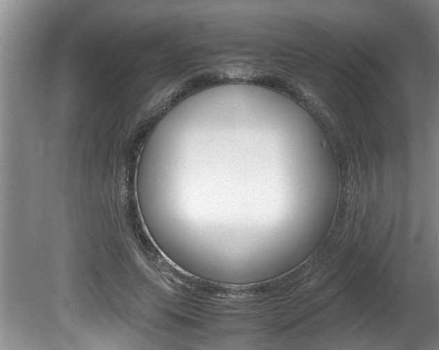 X0000080750639200612150959