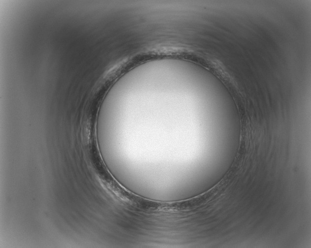 X0000080750640200612150959