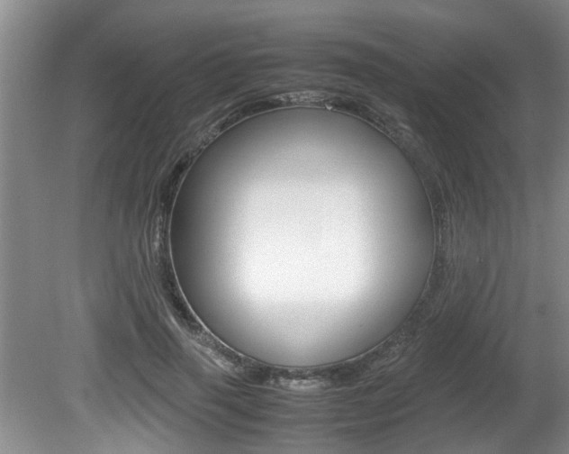X0000080750645200612150959