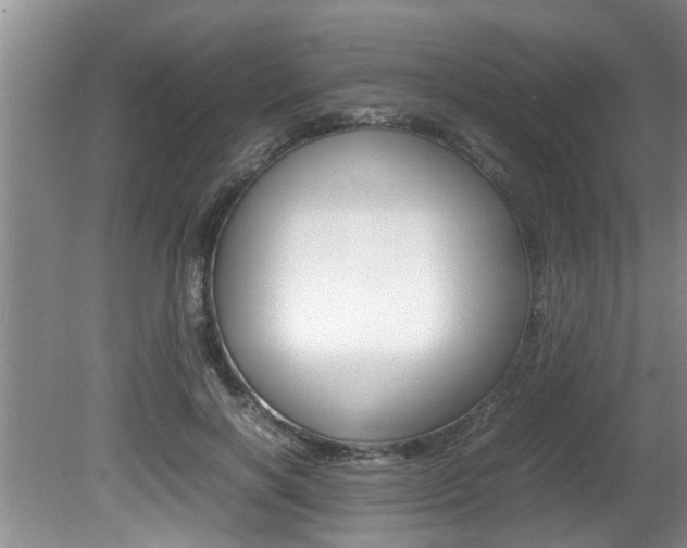 X0000080750646200612150959