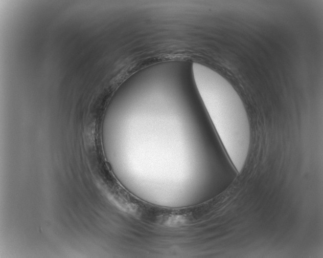 X0000080750647200612150959