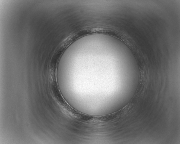 X0000080750648200612150959