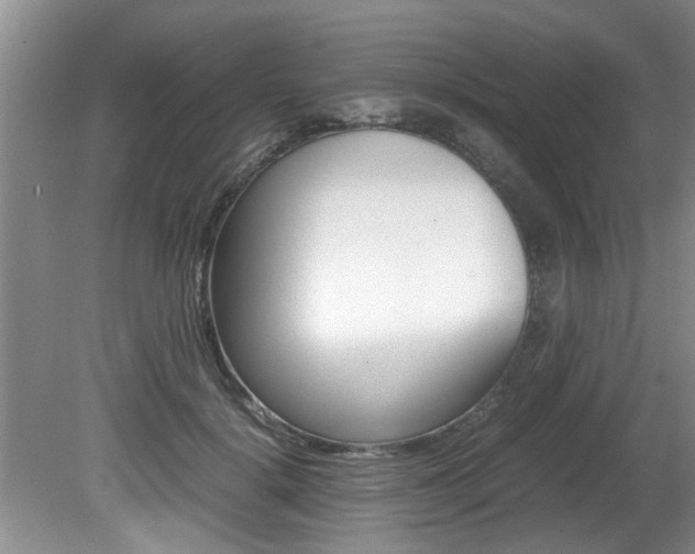 X0000080750652200612150959